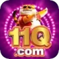 11q VIP BR v1.9.9