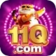 11q VIP BR v1.9.9